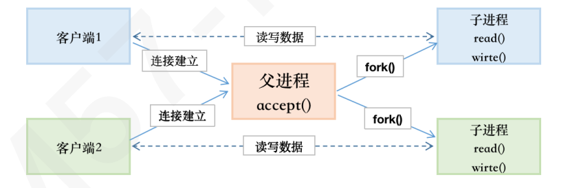 image-20241111190832612