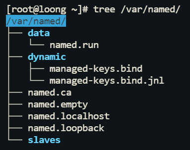 image-20241123155047057